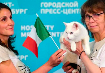 I pronostici del gatto Achille